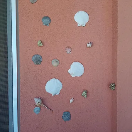 студио Lozenets