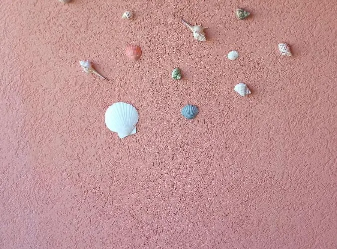 홈스테이 студио *