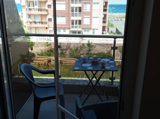 студио 홈스테이