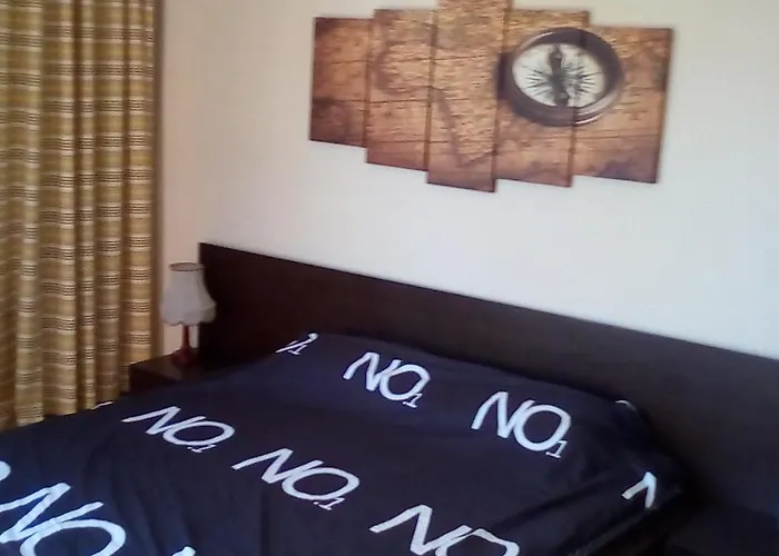 홈스테이 студио