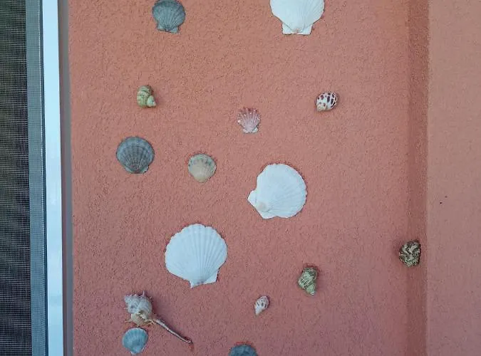 студио Лозенец